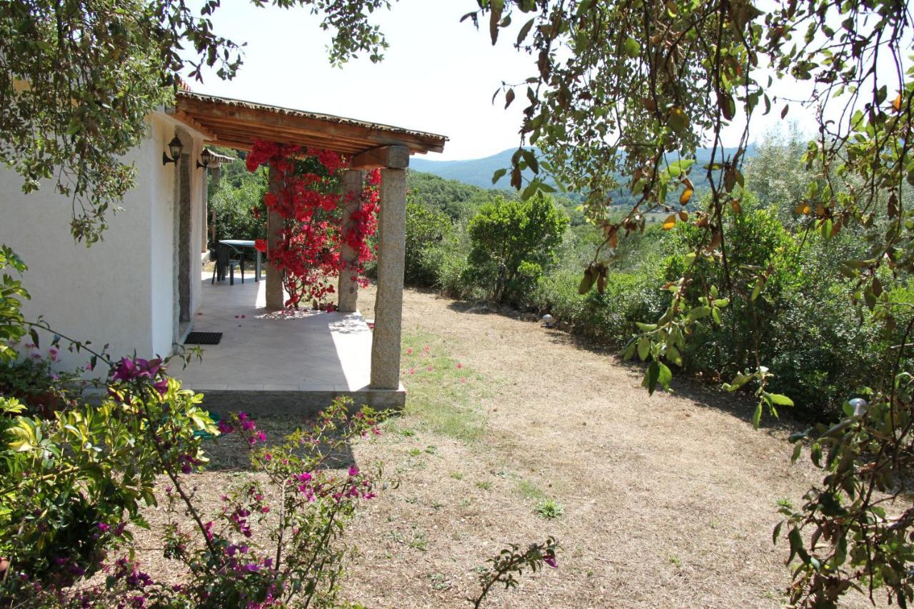 La Puntaccina Villa Aglientu Exterior photo